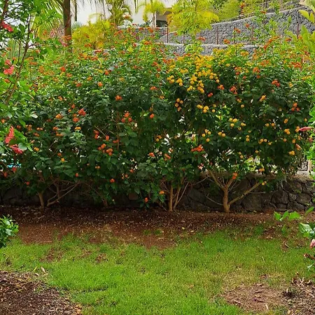 Casa Bento Appartamento